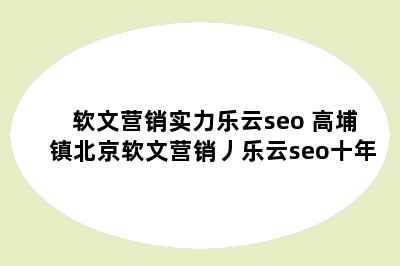 软文营销实力乐云seo 高埔镇北京软文营销丿乐云seo十年